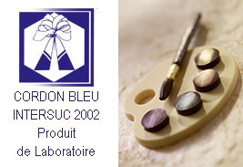 Colorants poudres iris&eacute;es r&eacute;compens&eacute;es en 2002